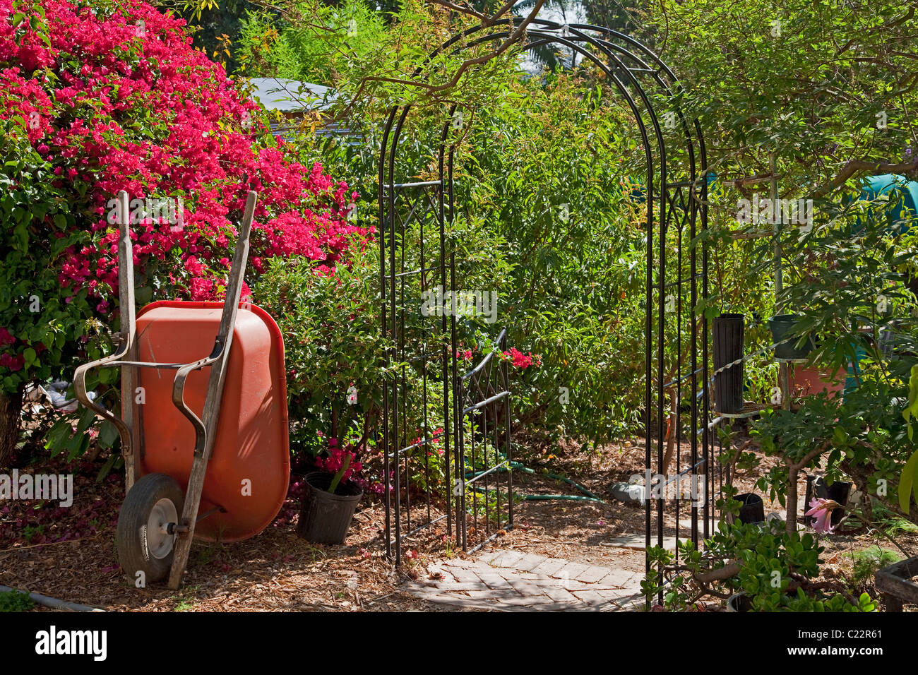 Edendale Farm is a model of permaculture and urban farming, Silver Lake, Loo Angeles Stock Photo