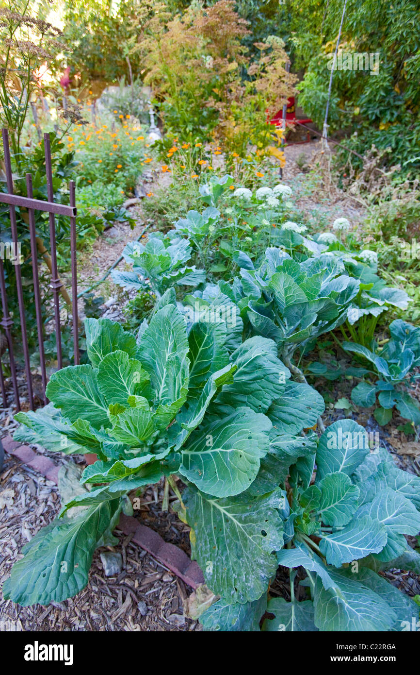 Garden in courtyard at main building of the LA Eco-Village Stock Photo