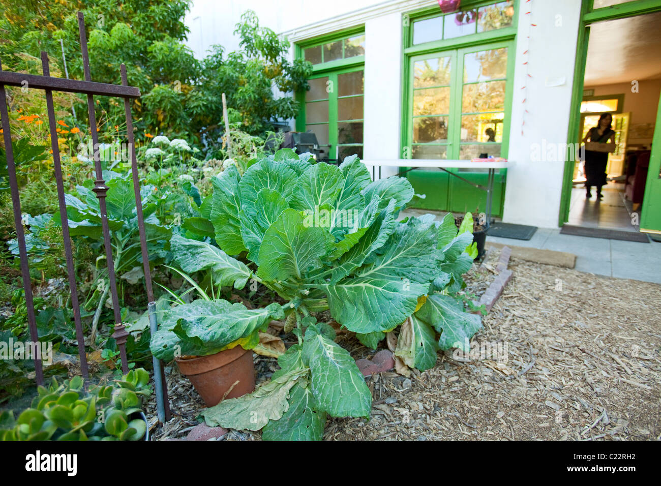 Founded in 1993, LA EcoVillage demonstrates the processes for creating a healthy neighborhood