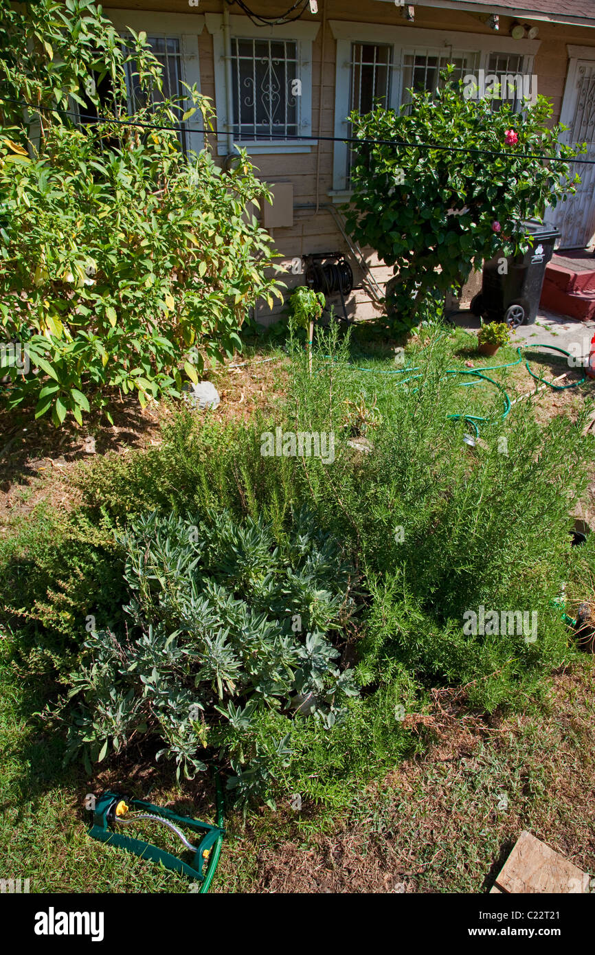 We Can Foundation Community Learning Center in South Central Los