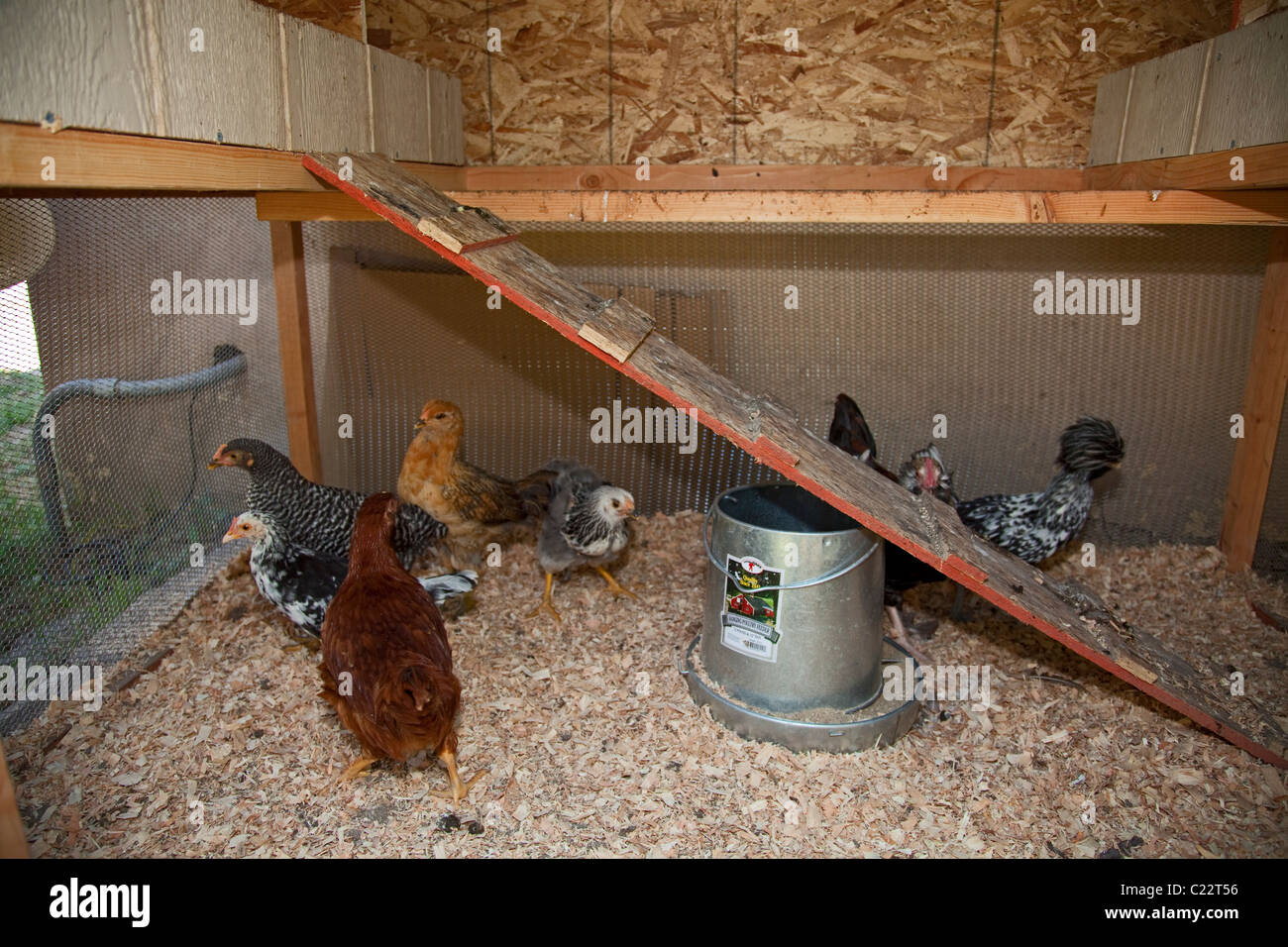 We Can Foundation Community Learning Center in South Central Los