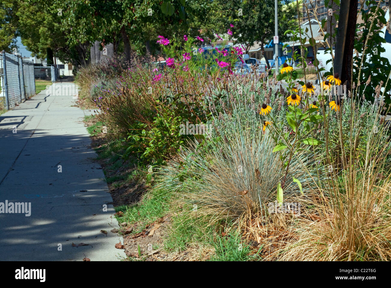 Sidewalk parkway in front of the We Can Foundation Community Learning