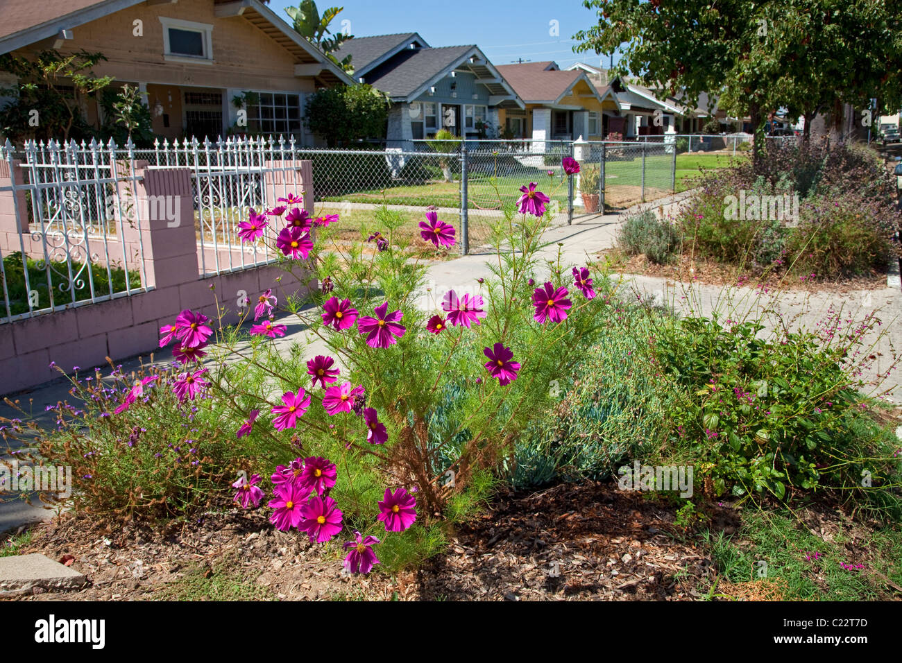 Sidewalk parkway in front of the We Can Foundation Community Learning