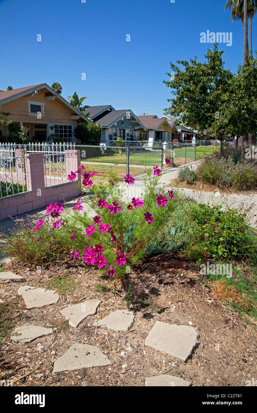 Environmental learning center hires stock photography and images Alamy