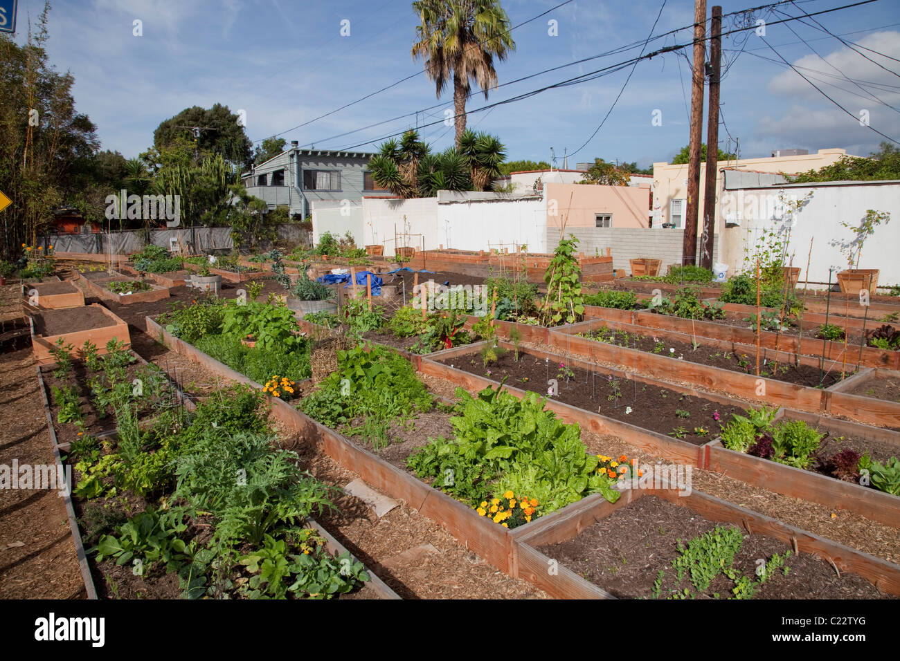 Venice Community Garden Los Angeles California Stock Photo