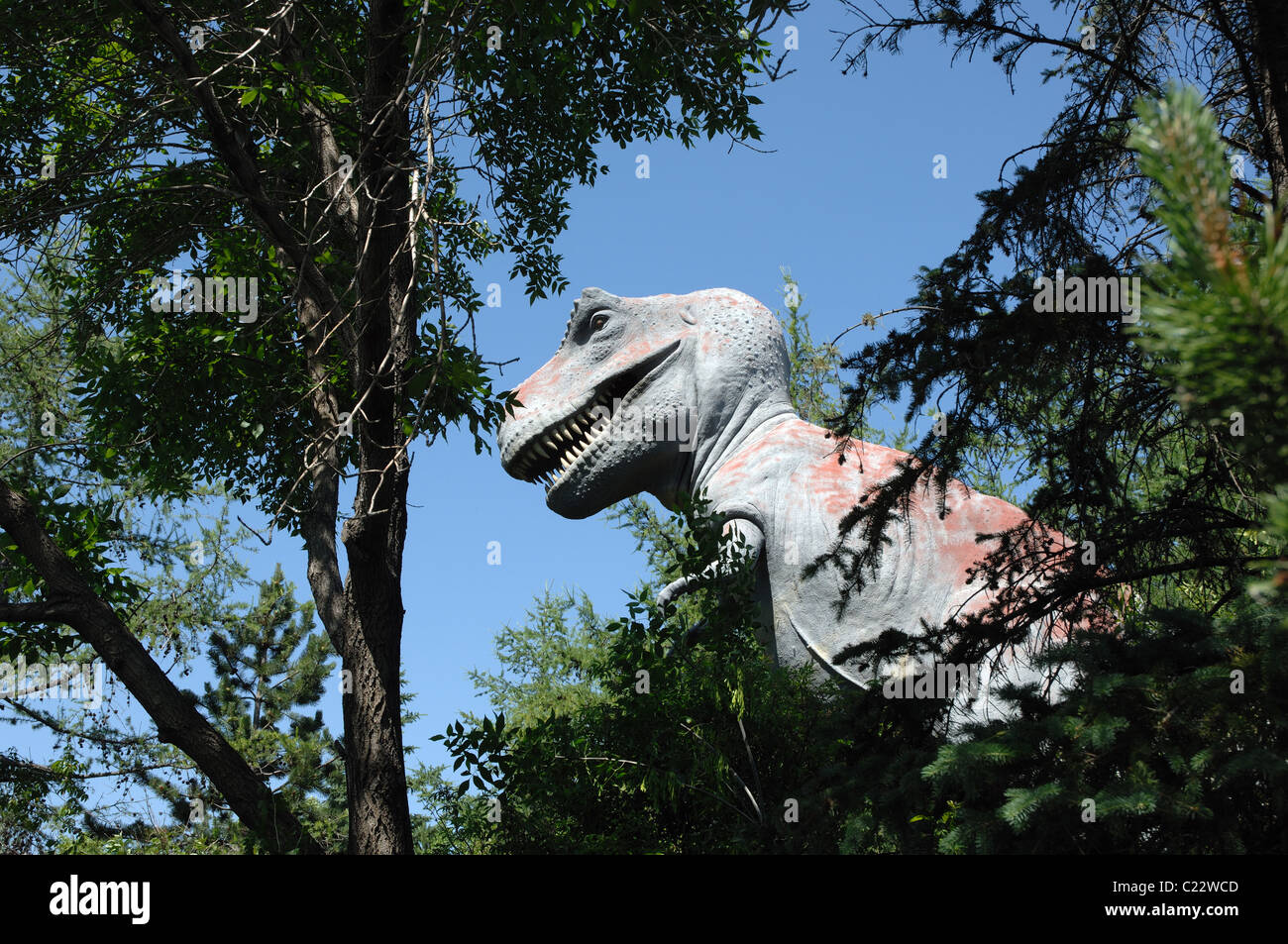 Tyrannosaurus Rex dinosaur at the Calgary Zoo Prehistoric Park, Alberta, Canada Stock Photo