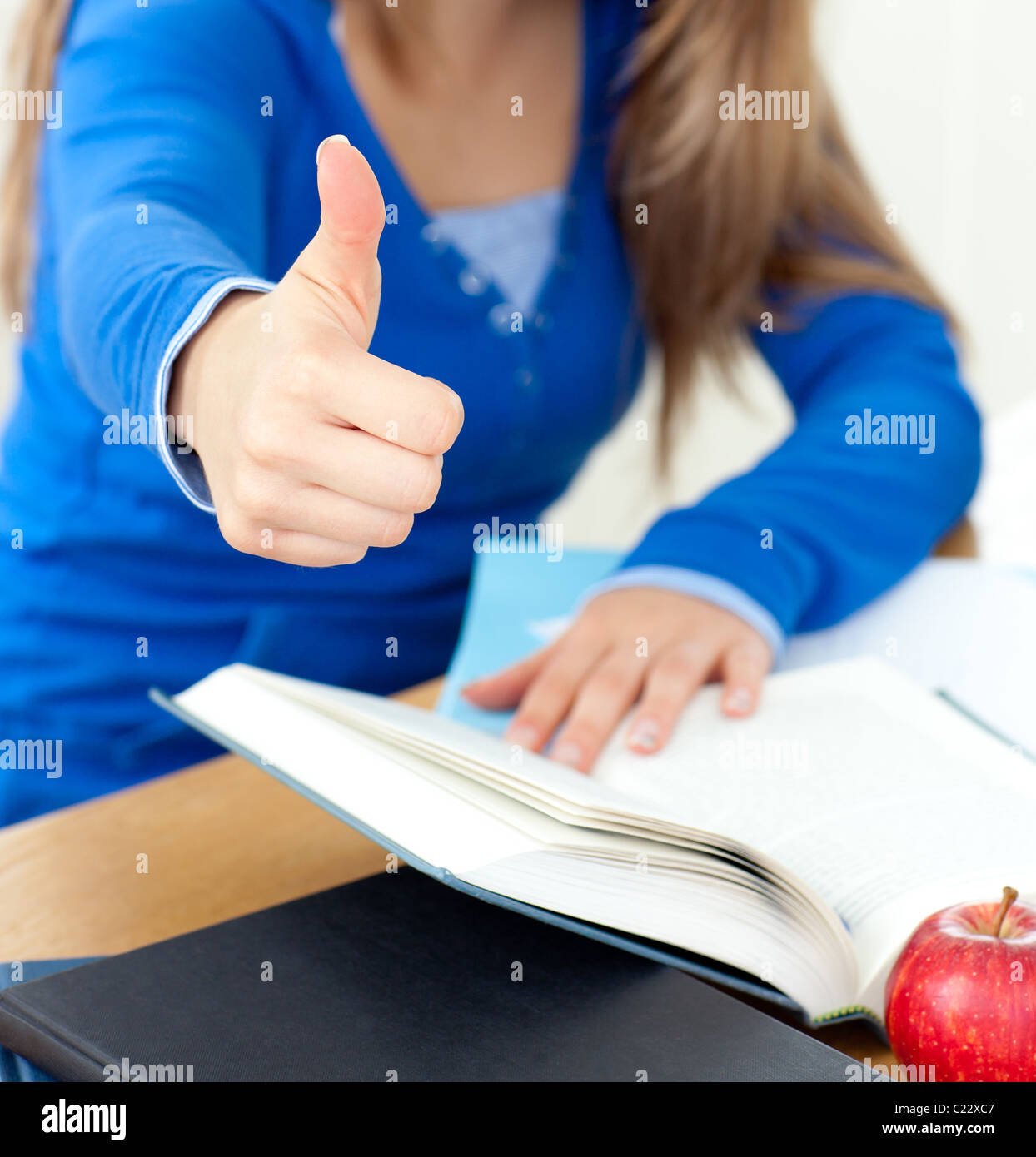 Young woman studying sitting at a table in the living-room Stock Photo ...