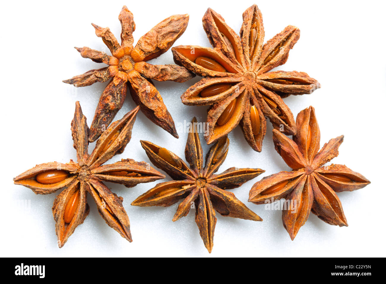 Dried Anise Flower Known For Its Flavor Which Resembles Liquorice