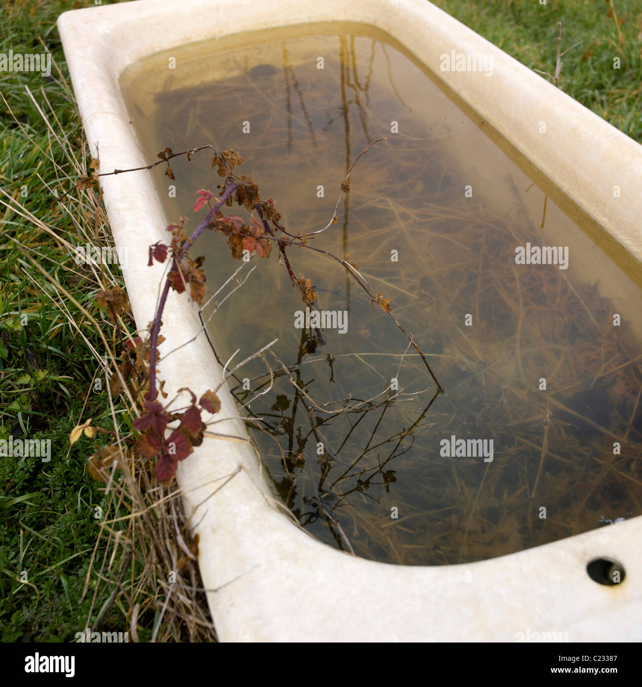 Old bathtub in a field Stock Photo Alamy