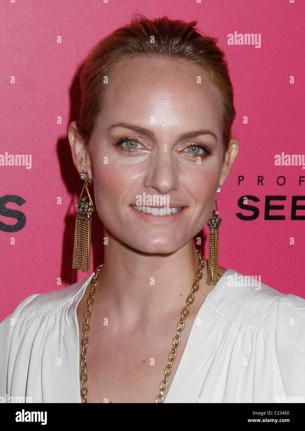 Amber Valetta The 6th Annual Hollywood Style Awards held at the Armand