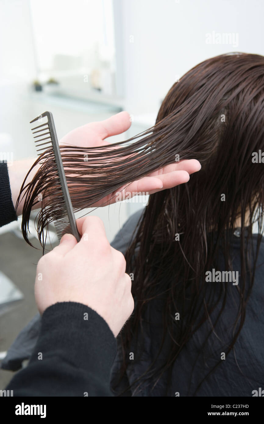 Wet hair is combed out in hair salon Stock Photo