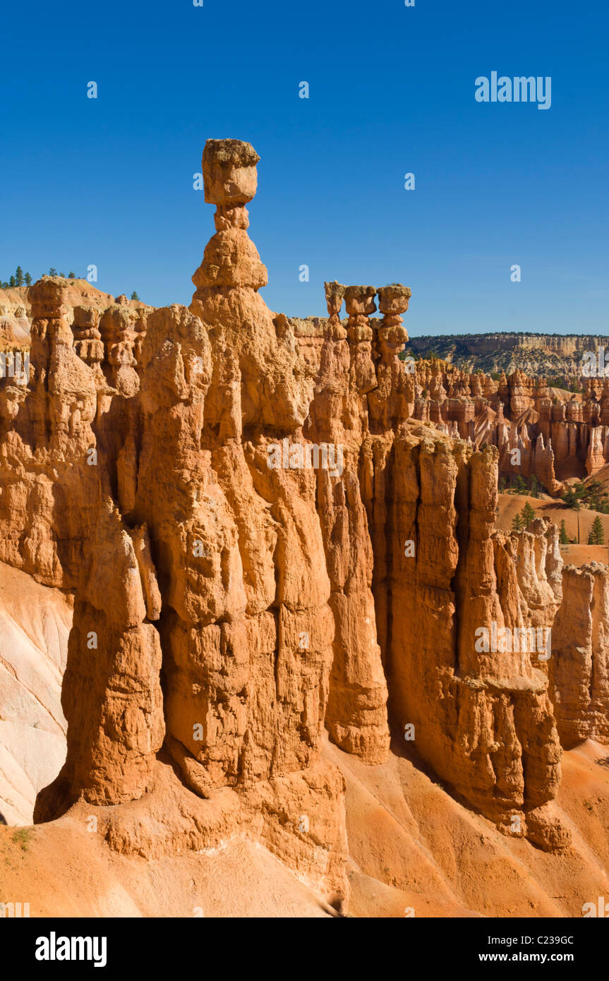 Thor's Hammer and Sandstone Hoodoos in Bryce Canyon Amphitheatre Utah USA United States of America US Stock Photo