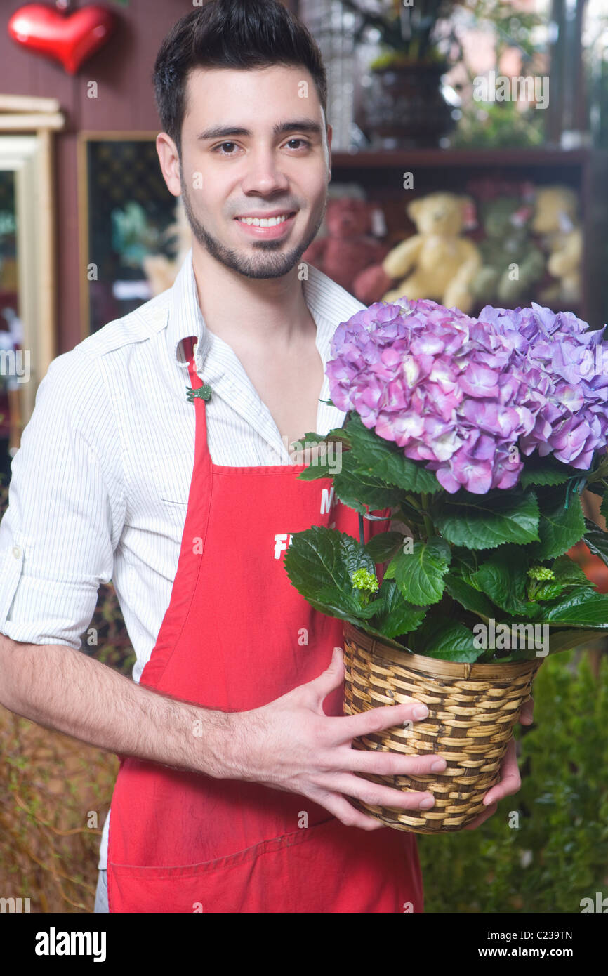 Florist stands with hydrangea Stock Photo