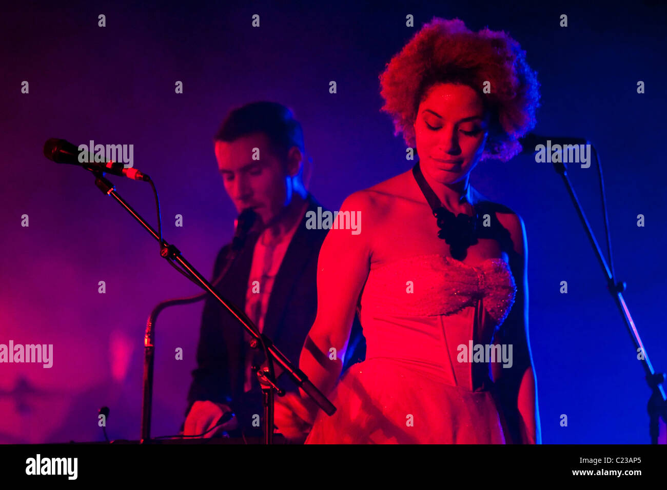 Guest vocalist Martina TopleyBird and Massive Attack performing at the