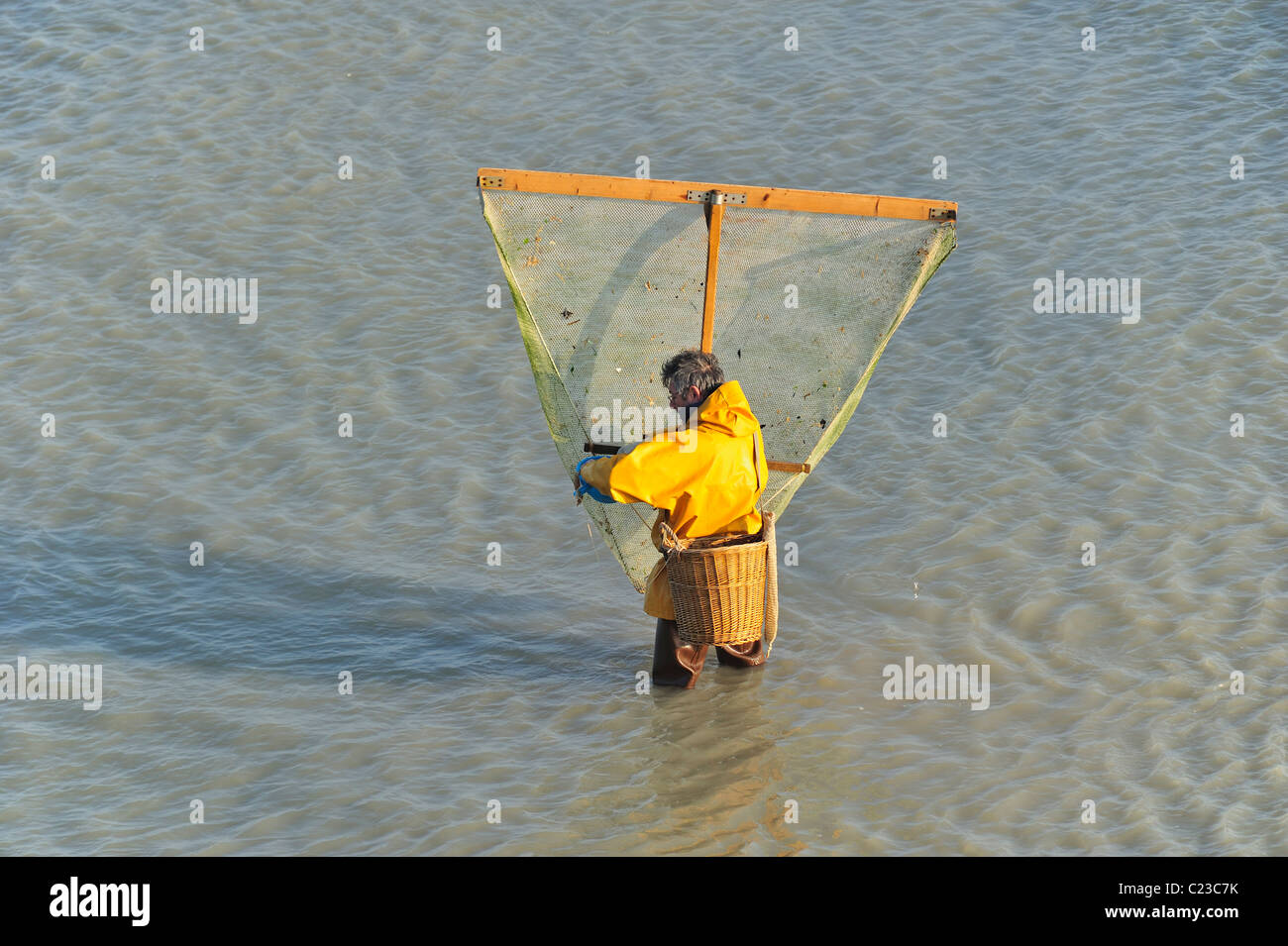 Shrimping net hi-res stock photography and images - Alamy