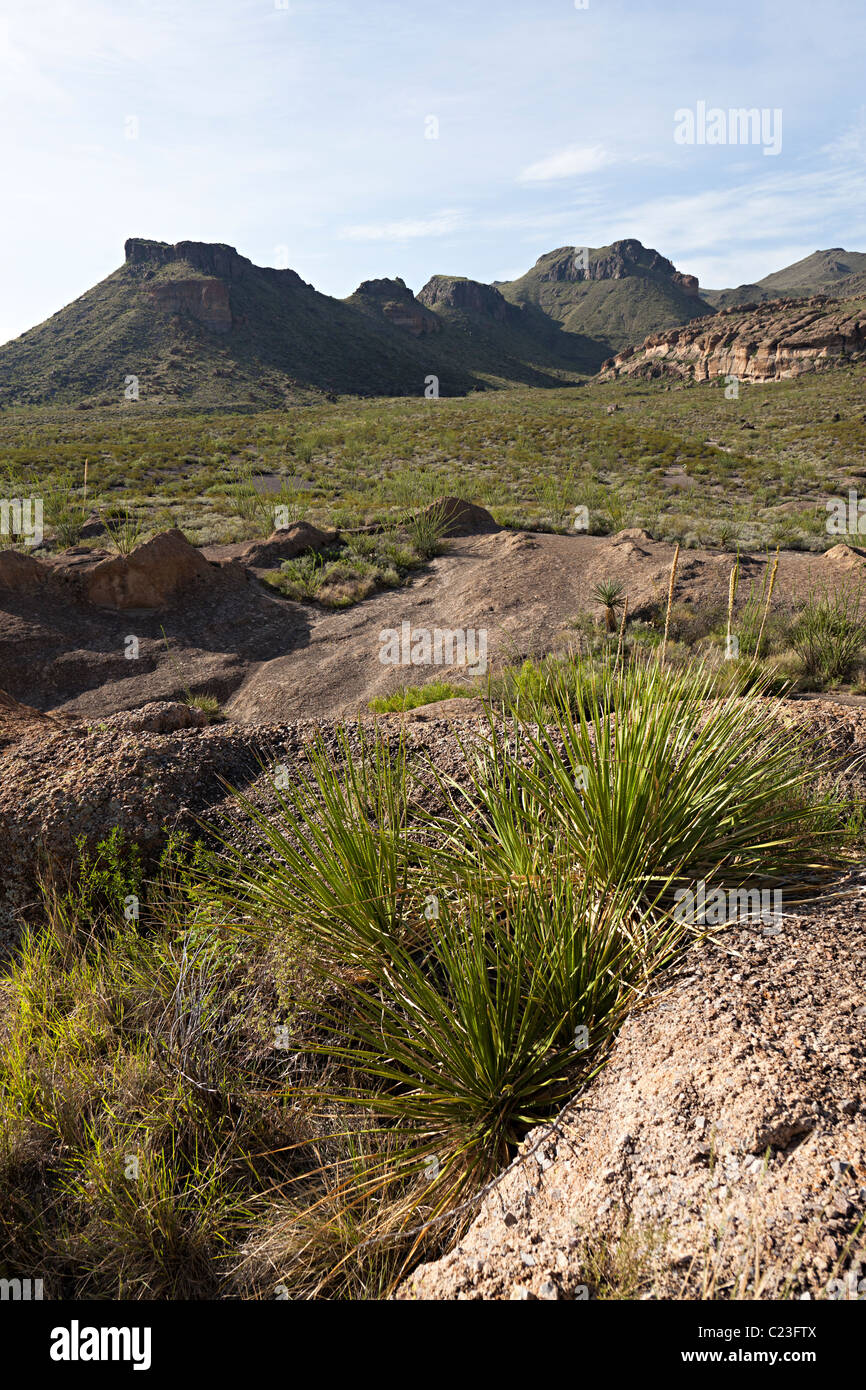 Big bend ranch hires stock photography and images Alamy