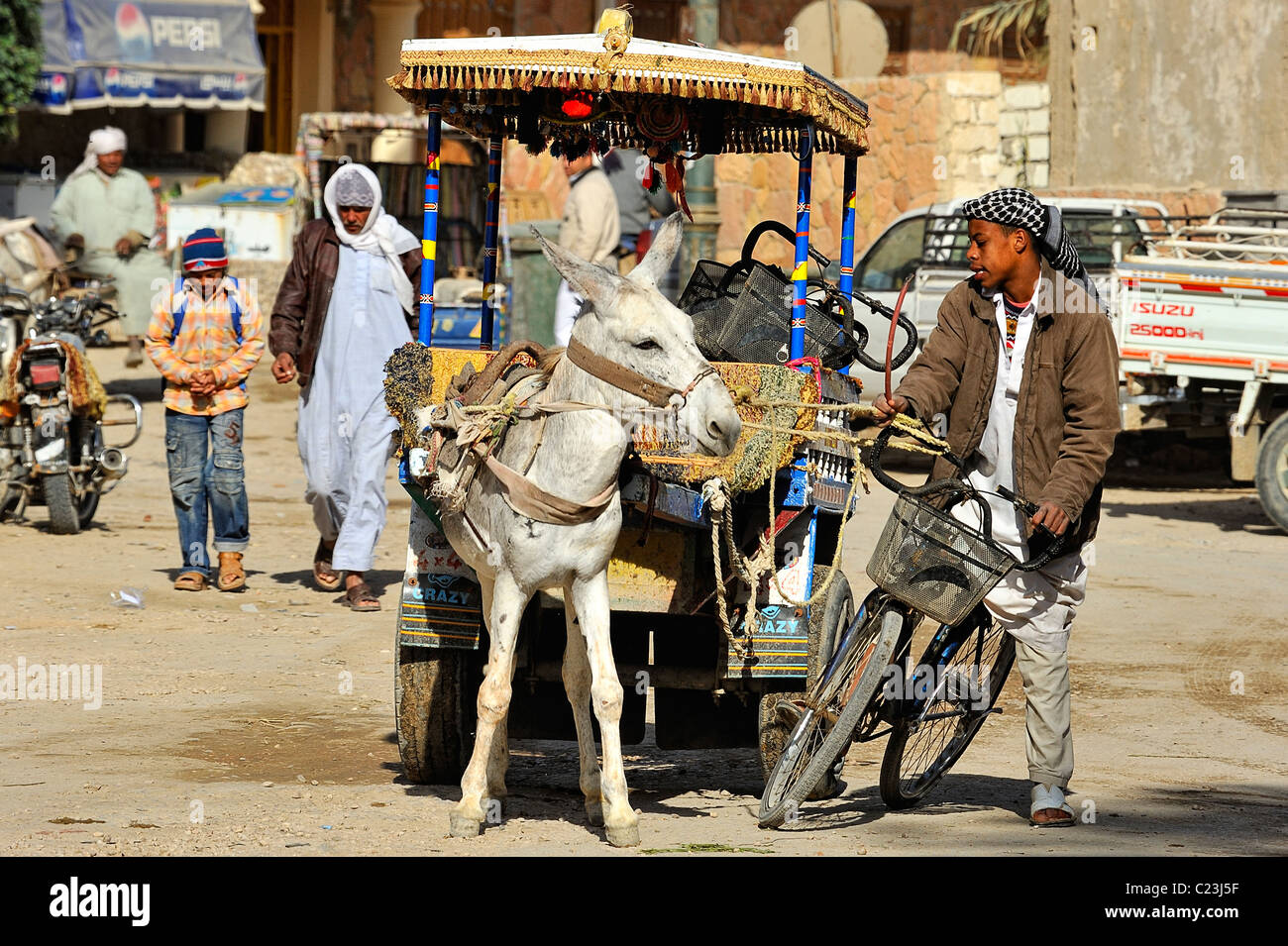 Donkey pulling cart hires stock photography and images Alamy