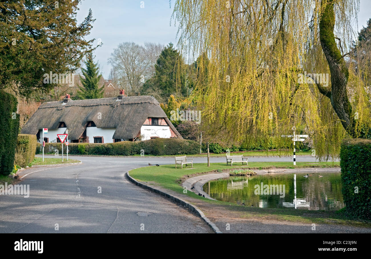 Cottage and Village Duck Pond, Crawley, Hampshire Stock Photo