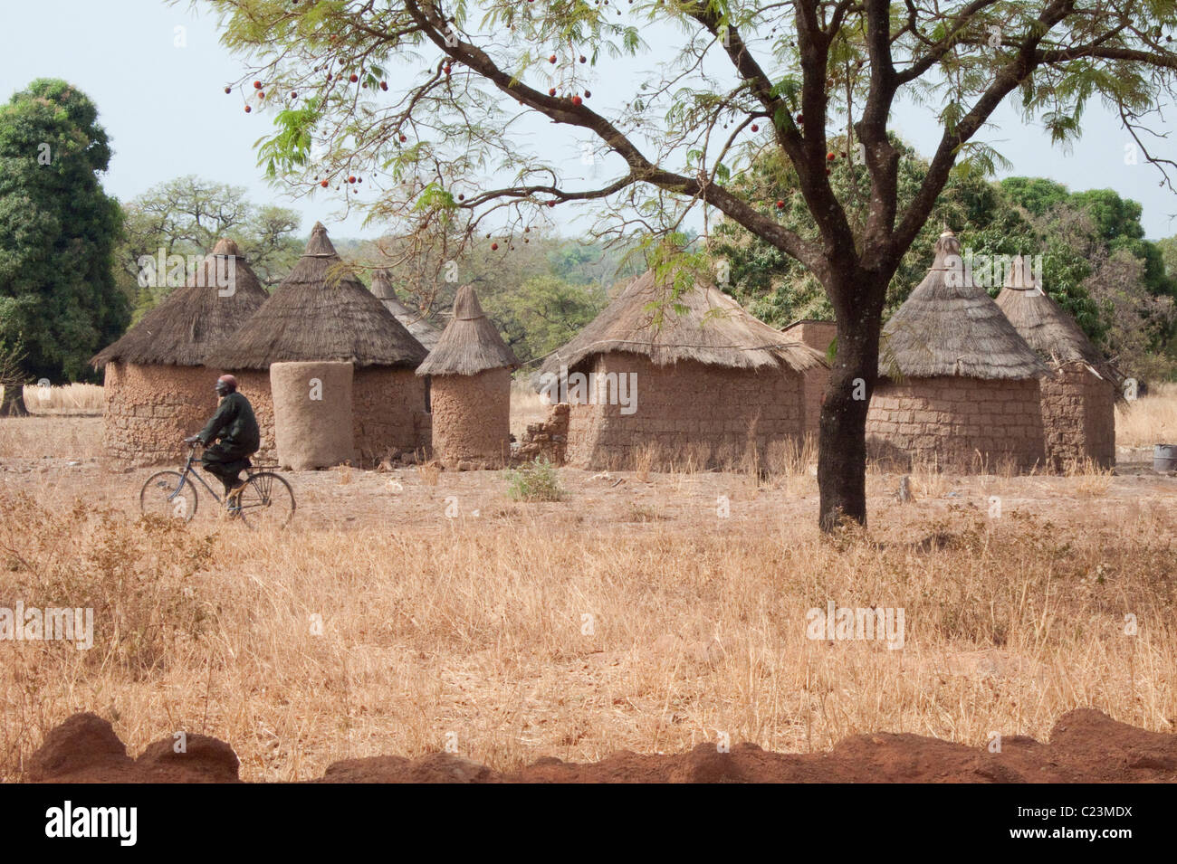 Rural mud huts and grain stores in south west Burkina Faso Stock Photo