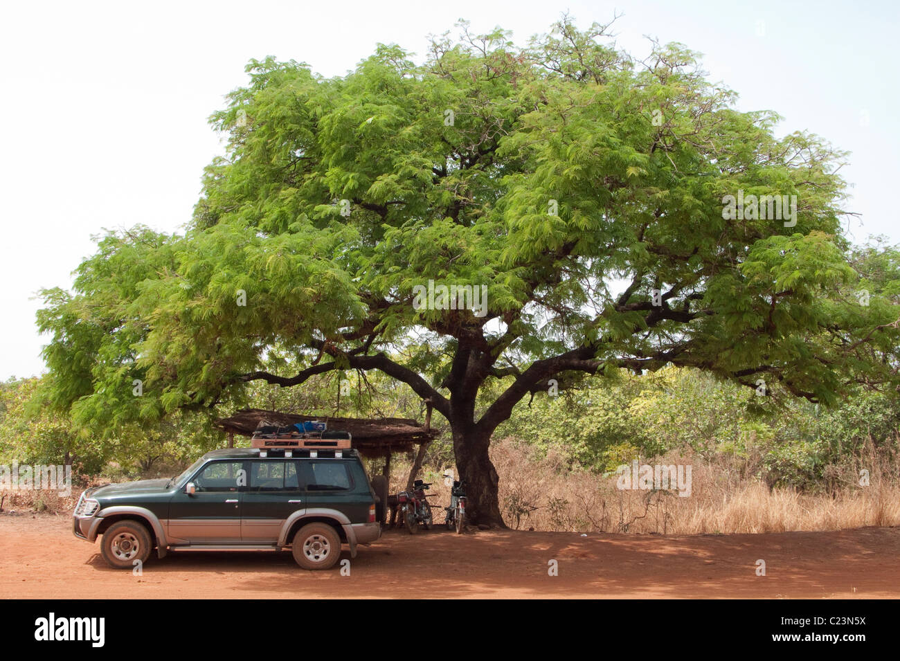 A Toyota stopped in the shade of an acacia tree on the route between Banfora and Bobo Dioulasso, Burkina Faso Stock Photo