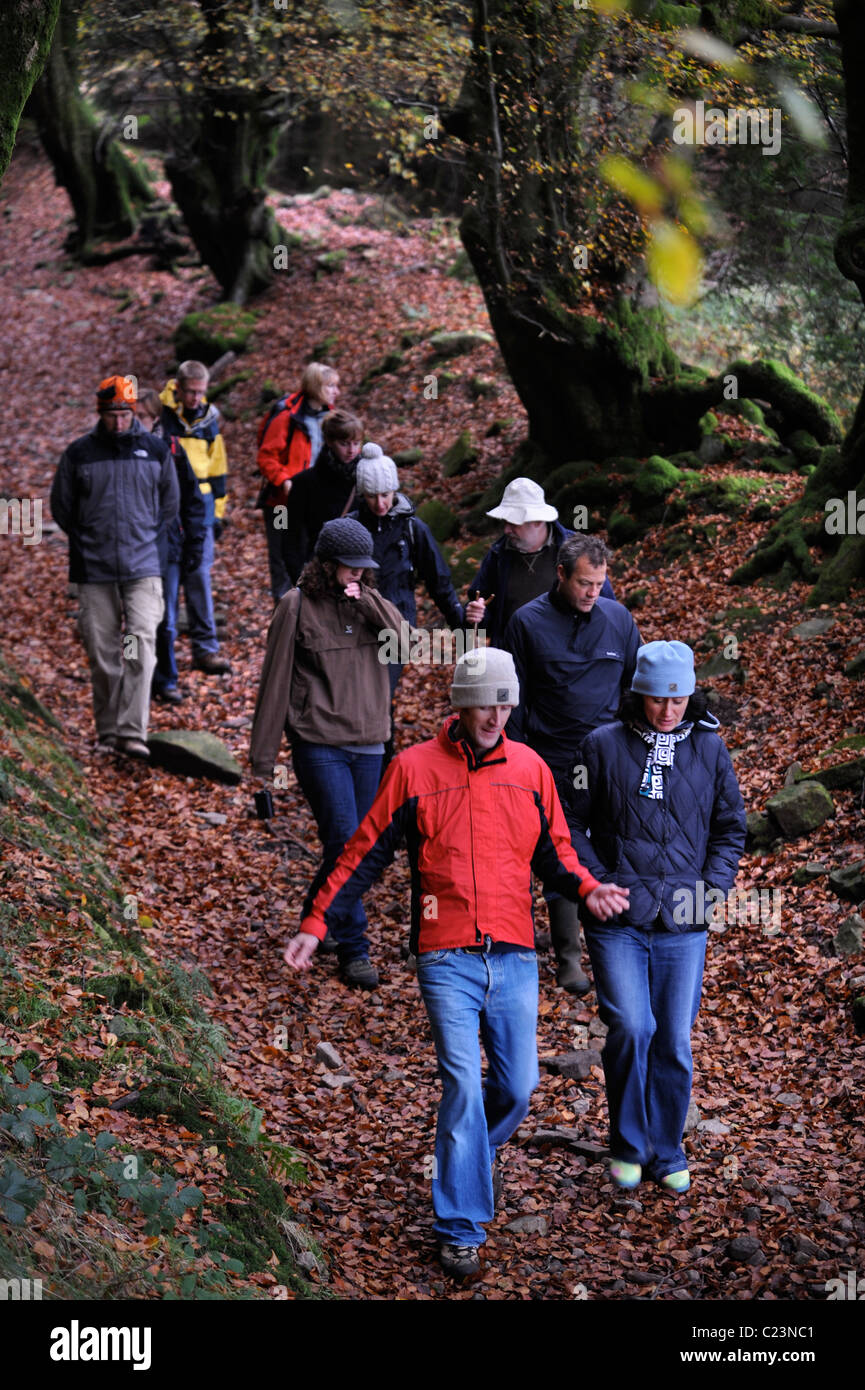 Foraging expert Raoul Van Den Broucke (white hat) leads a tour party through woodland near Upper Llanover Gwent Wales UK Stock Photo