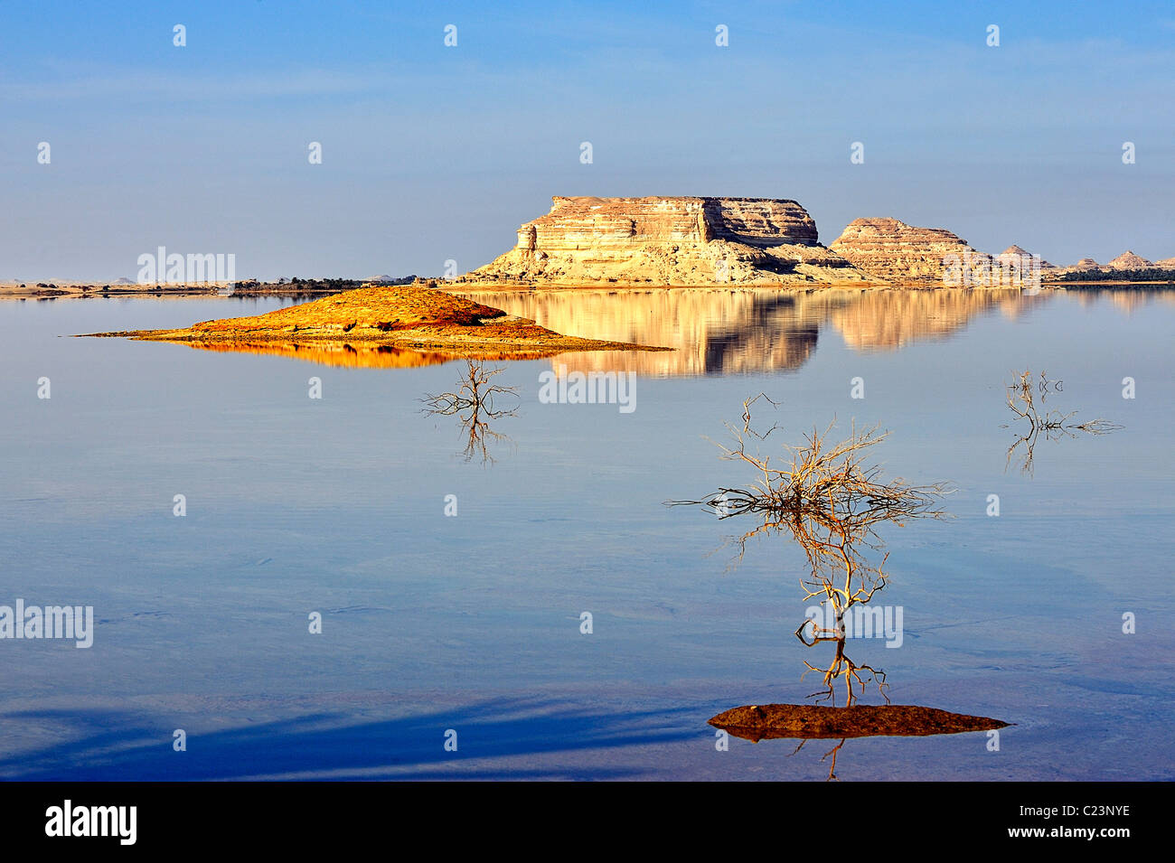 Salt lake siwa oasis egypt hires stock photography and images Alamy
