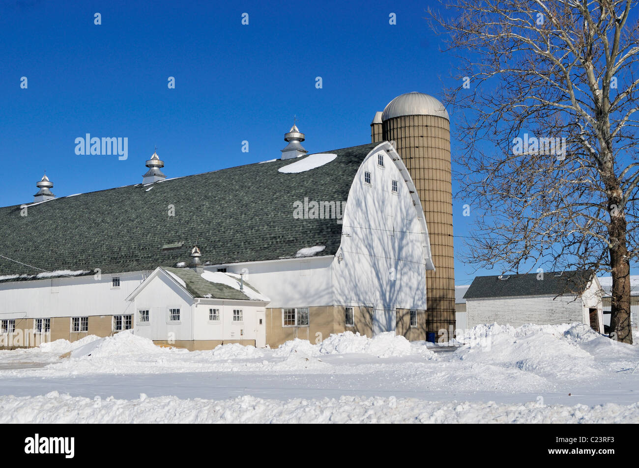 A Midwestern winter scene as heavy snows build up around a barn on an