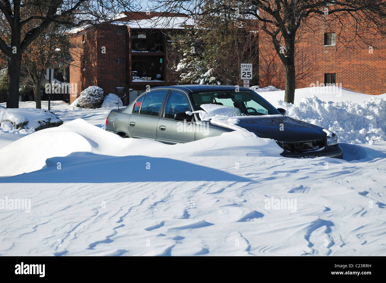 blizzard conditions swept some vehicles clean while sculpting large snowdrifts around them with 20 inches of snow. Bartlett Illinois, USA. Stock Photo