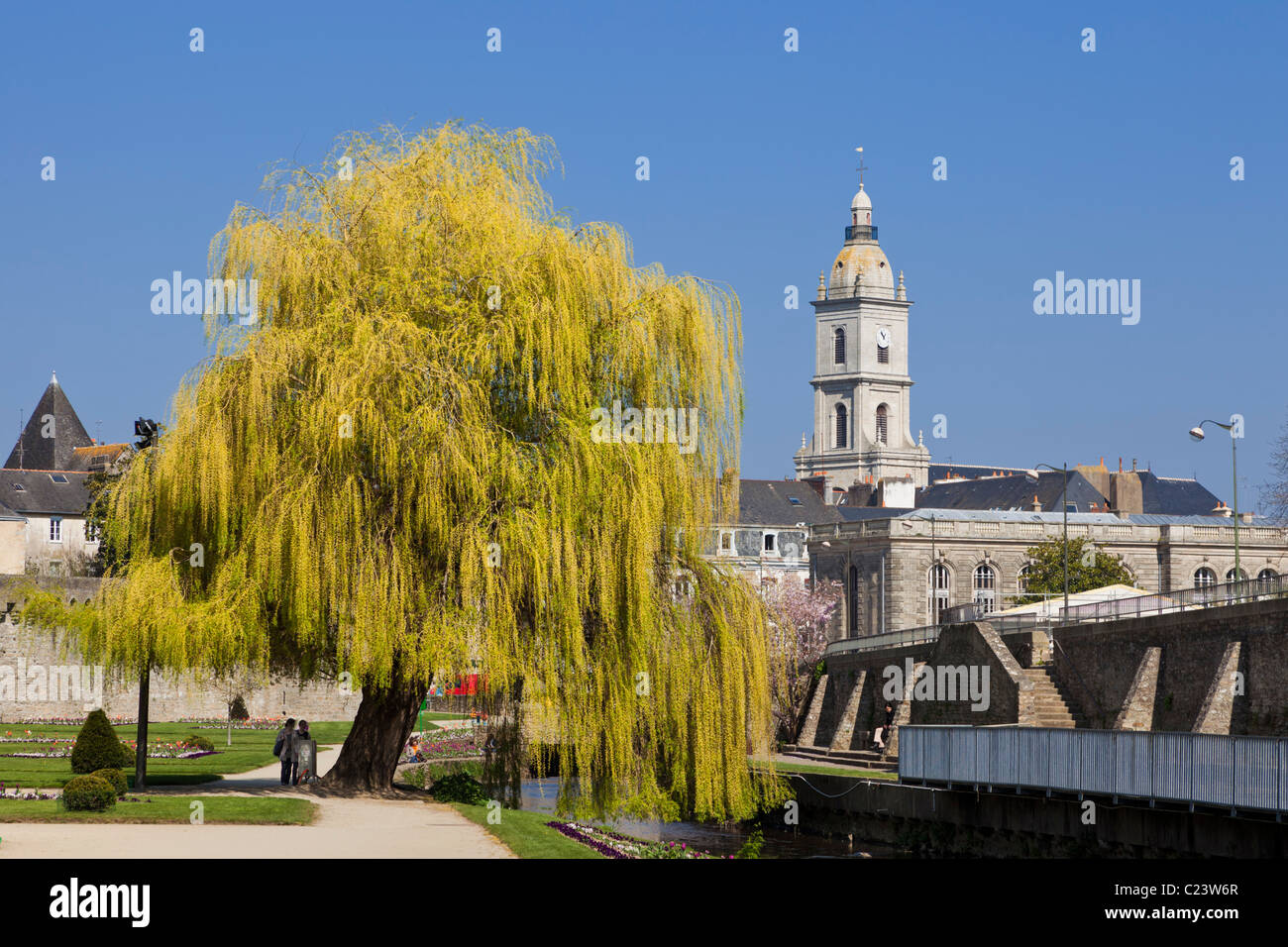 Weeping Willow tree in The Jardin des Remparts, Vannes, Morbihan, Brittany, France, Europe Stock Photo