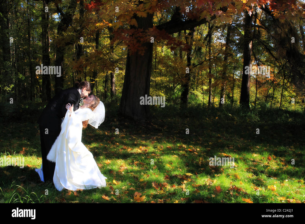 Groom holding and kissing bride in the forest in the Autumn Stock Photo ...