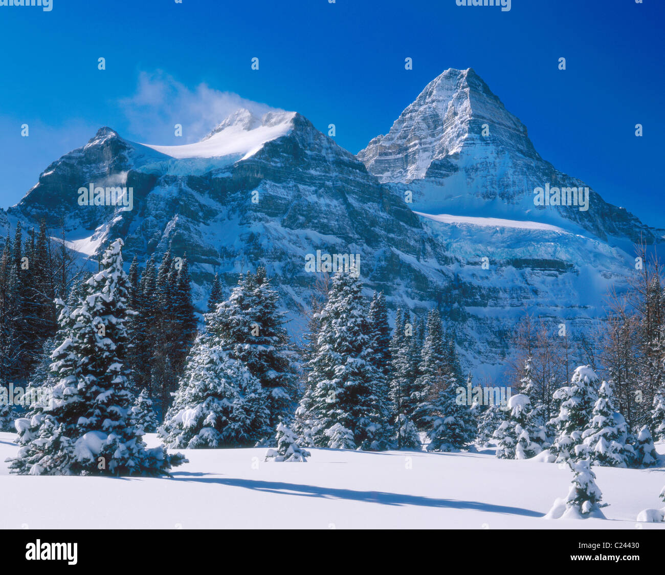 Mount Assiniboine In Winter Mount Assiniboine Provincial Park British Mount Assiniboine In Winter Mount Assiniboine Provincial Park British