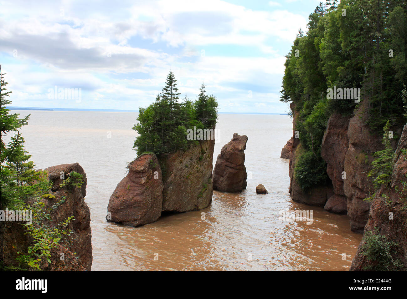 The Hopewell Or Flowerpot Rocks In The Bay Of Fundy New Brunswick Stock  Photo - Download Image Now - iStock