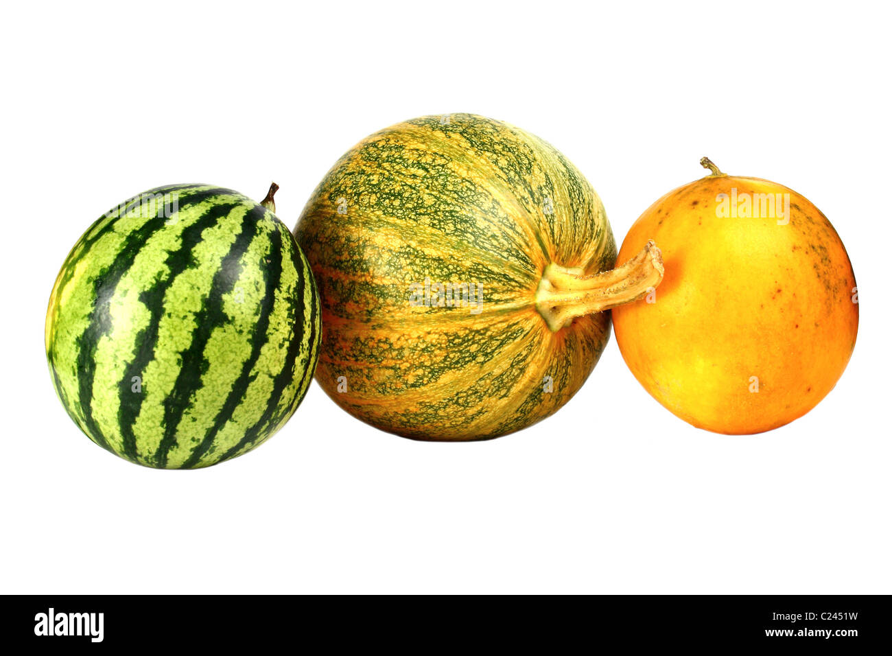 Тыква бахчевая культура. Бахча арбузы в таджикистане. Арбуз и дыня. Тыква травянка. Арбуз кримглоб.