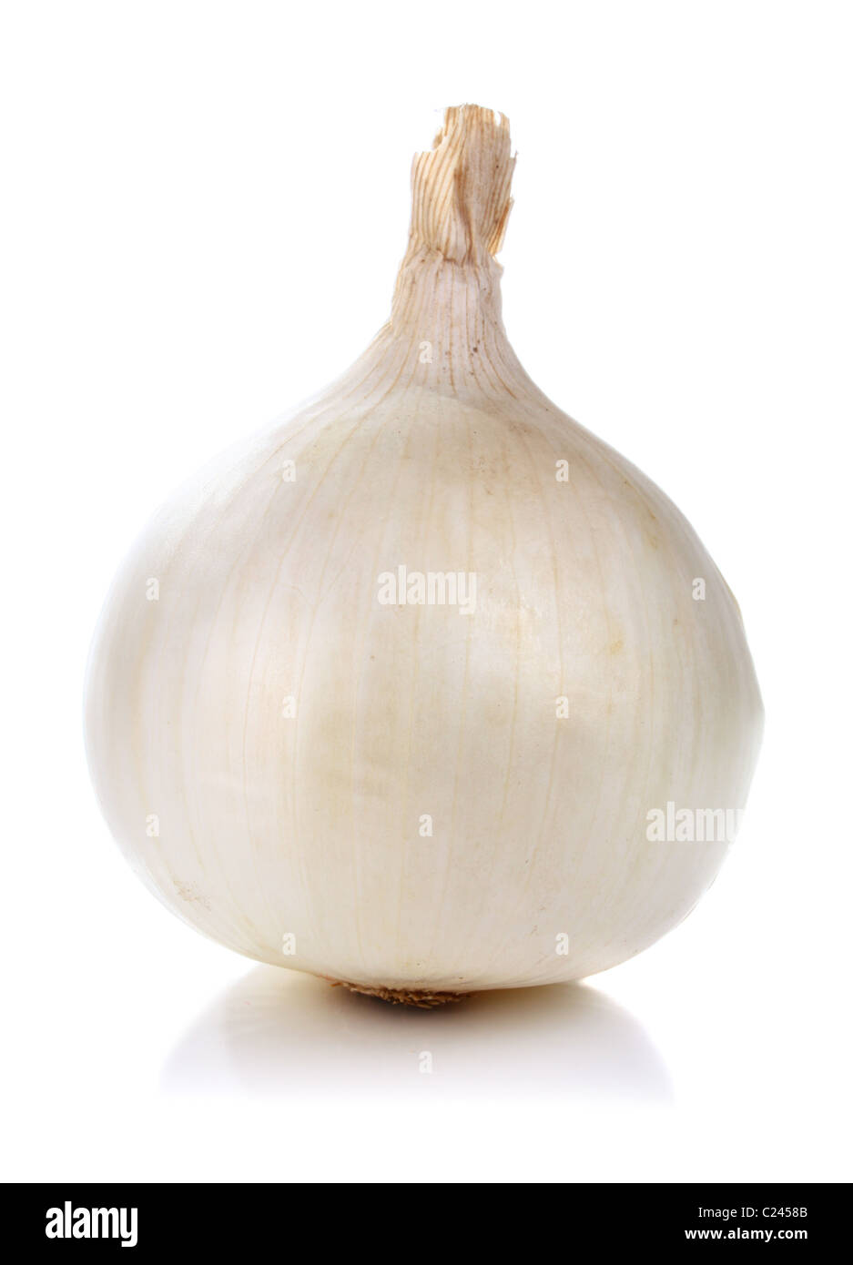 healthy vegetable onion isolated on white background Stock Photo - Alamy