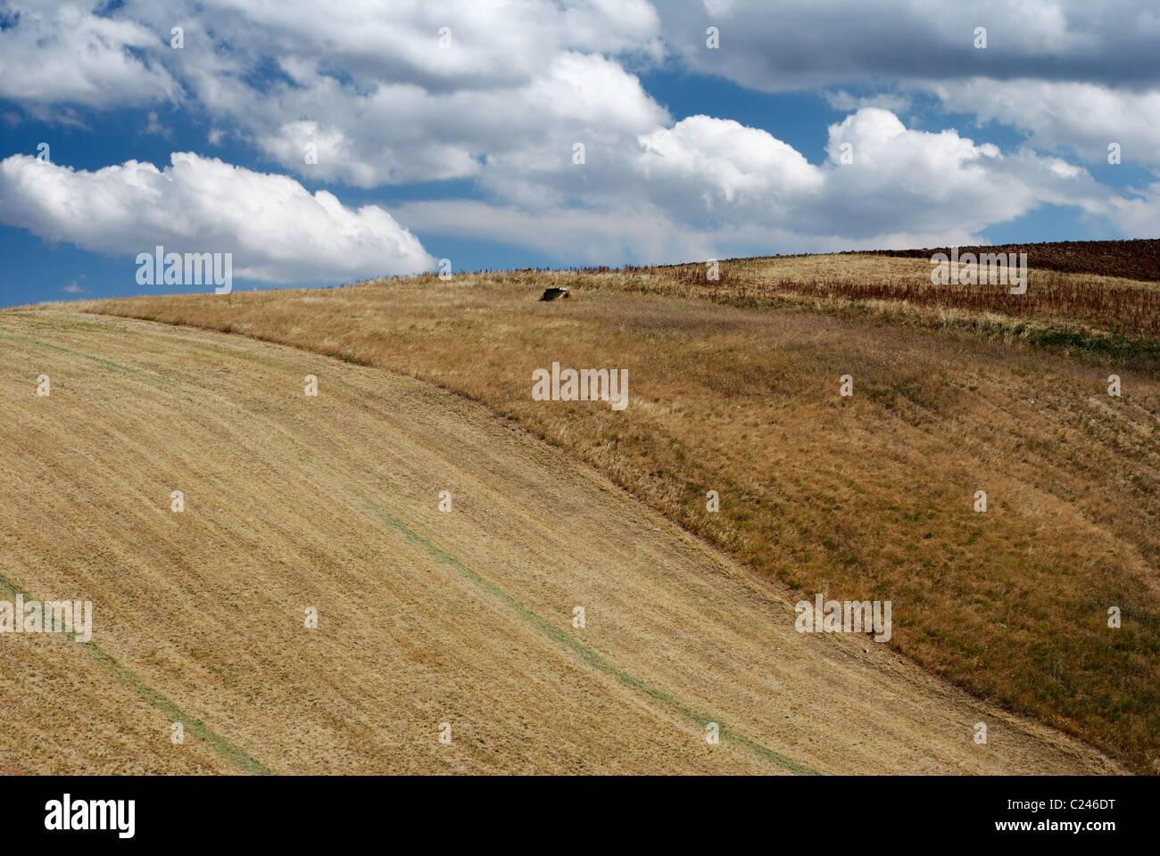 Arid hills in summertime Stock Photo