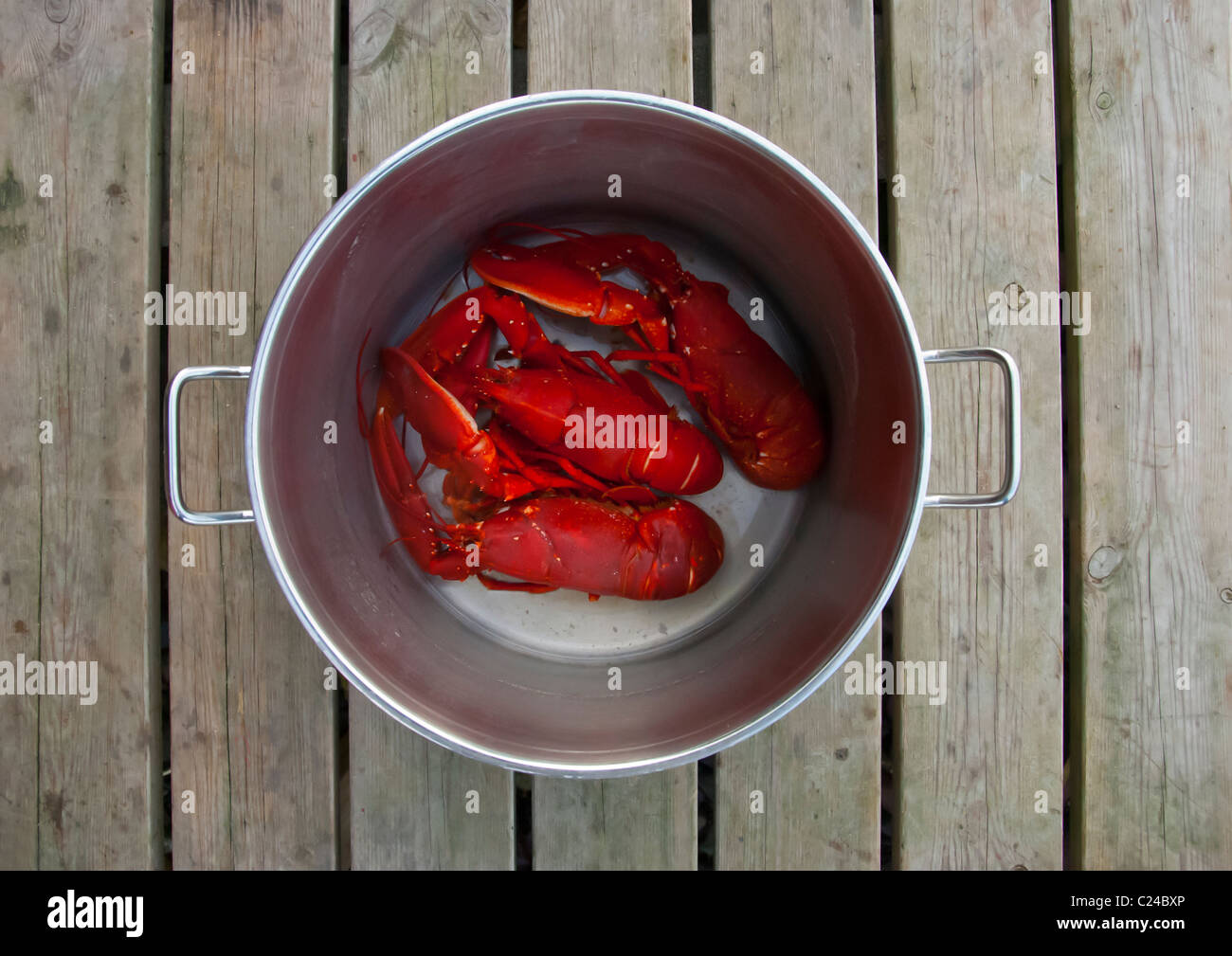 Newly cooked lobster Stock Photo