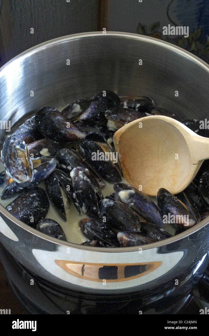 Mussels in Garlic Butter Sauce Cooking In a Saucepan on a Stove Stock