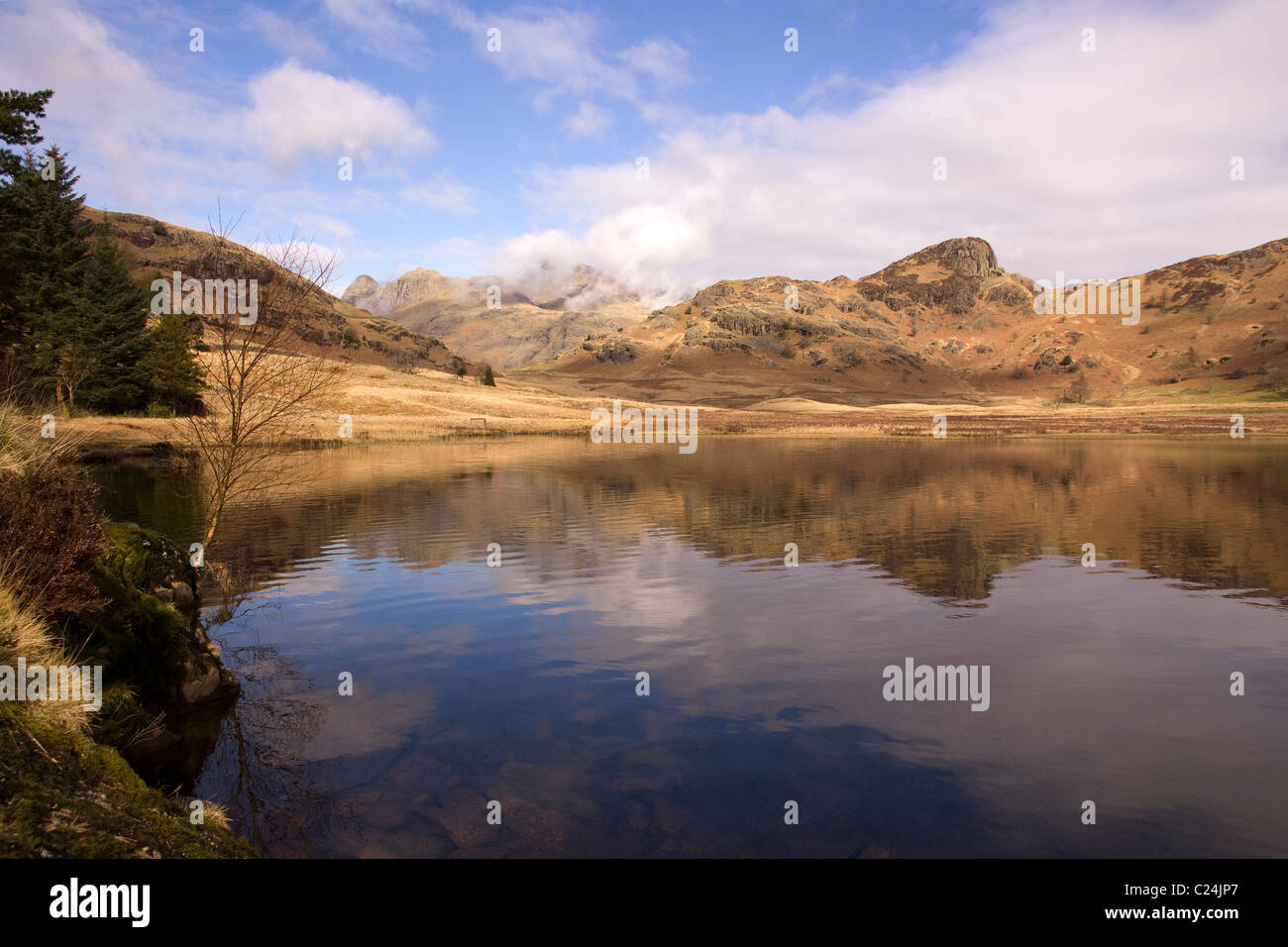 Still waters of Blea Tarn with Langdale Pikes in the distance, Langdale, Lake District, Cumbria, England, UK Stock Photo