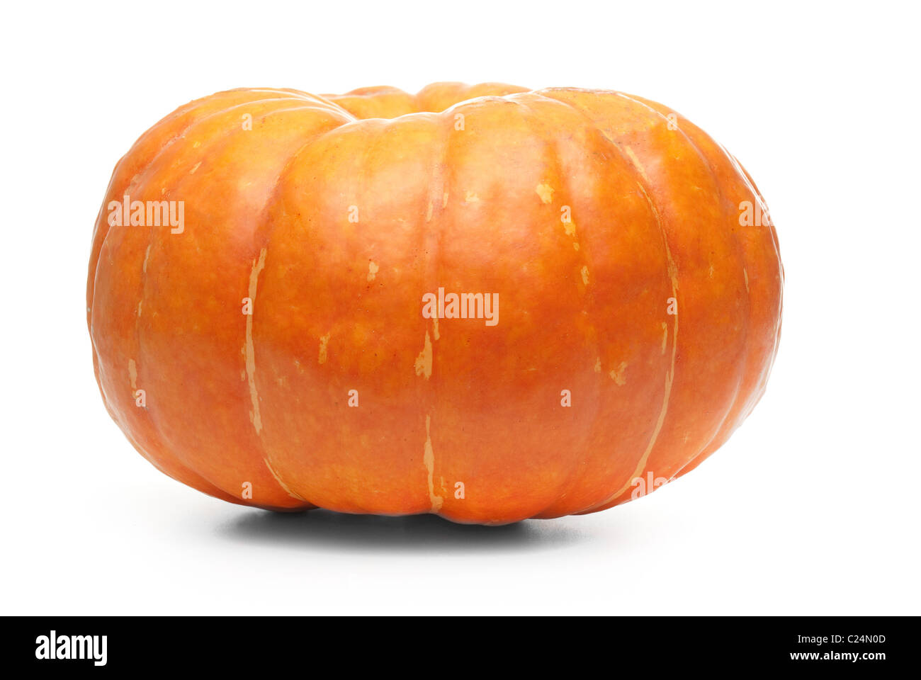 Single fresh pumpkin isolated on white background Stock Photo - Alamy