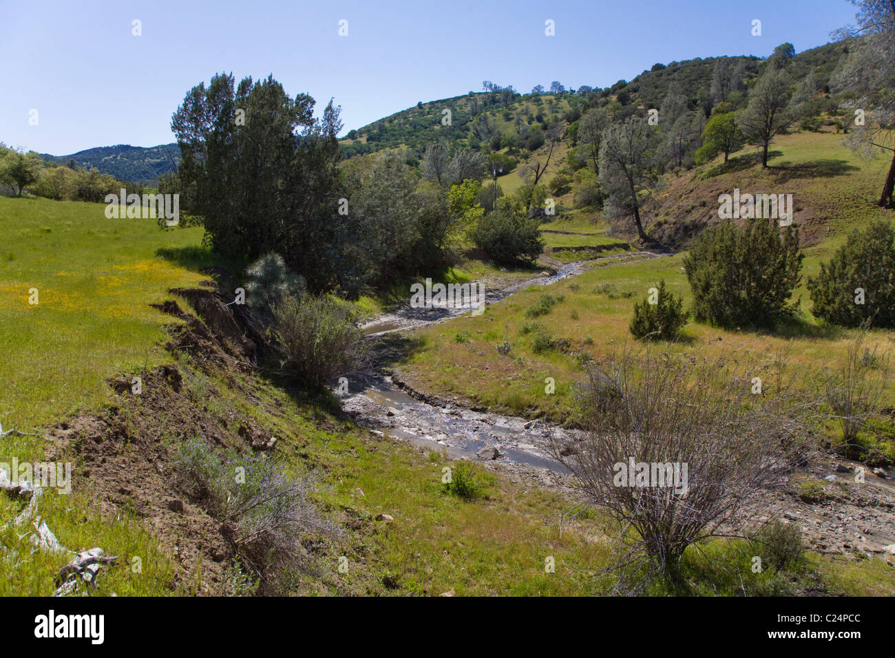 Central california coastal erosion hi-res stock photography and images ...