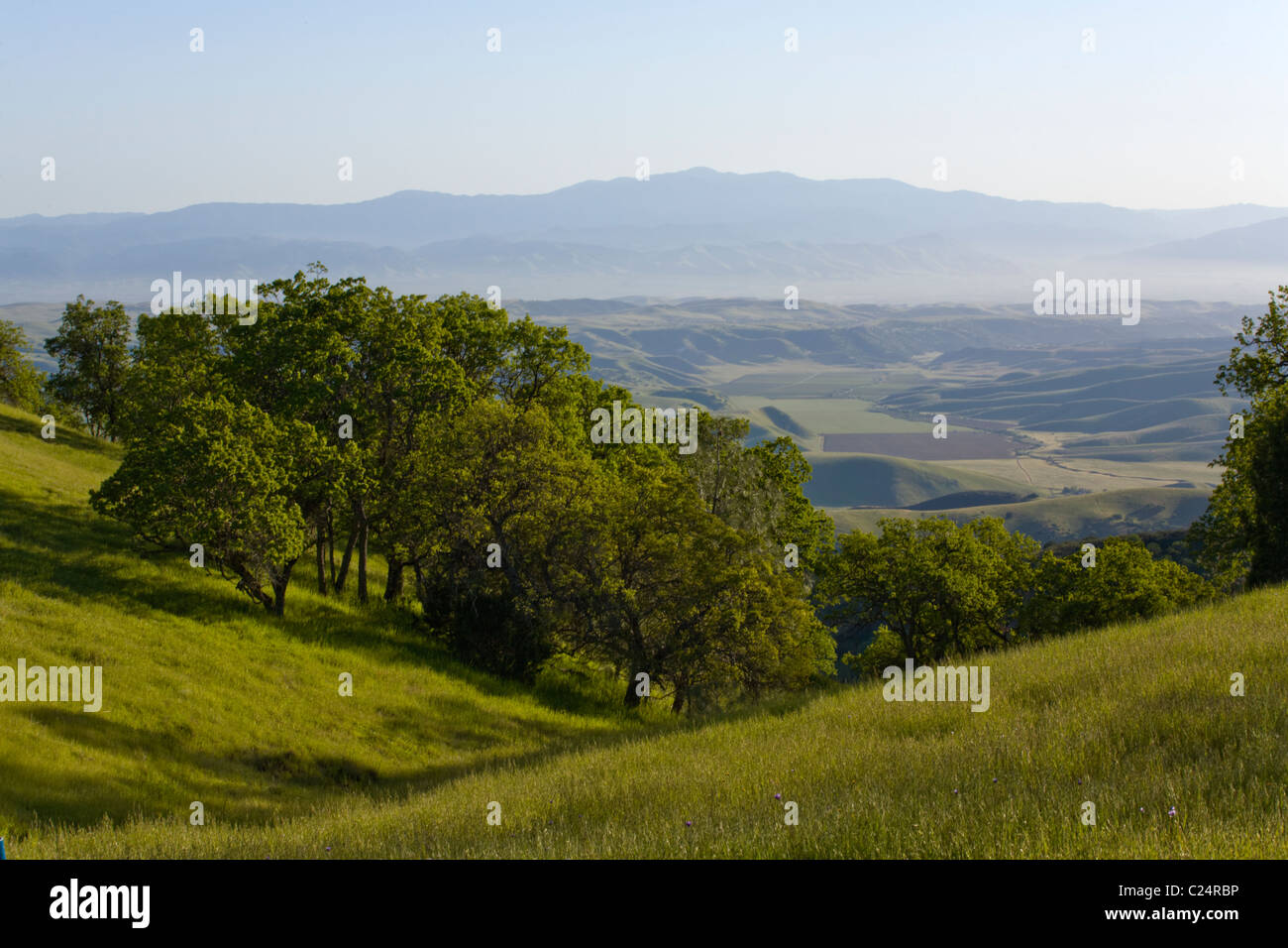 A Coastal Range cattle ranch in central CALIFORNIA Stock Photo Alamy