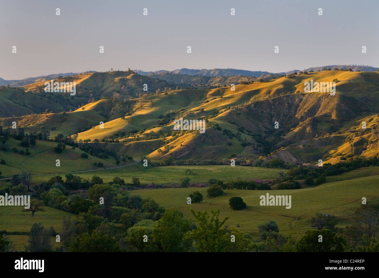 A Coastal Range cattle ranch in central CALIFORNIA Stock Photo Alamy