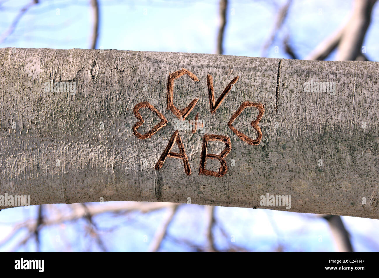 Initials carved in tree branch, Long Island NY Stock Photo