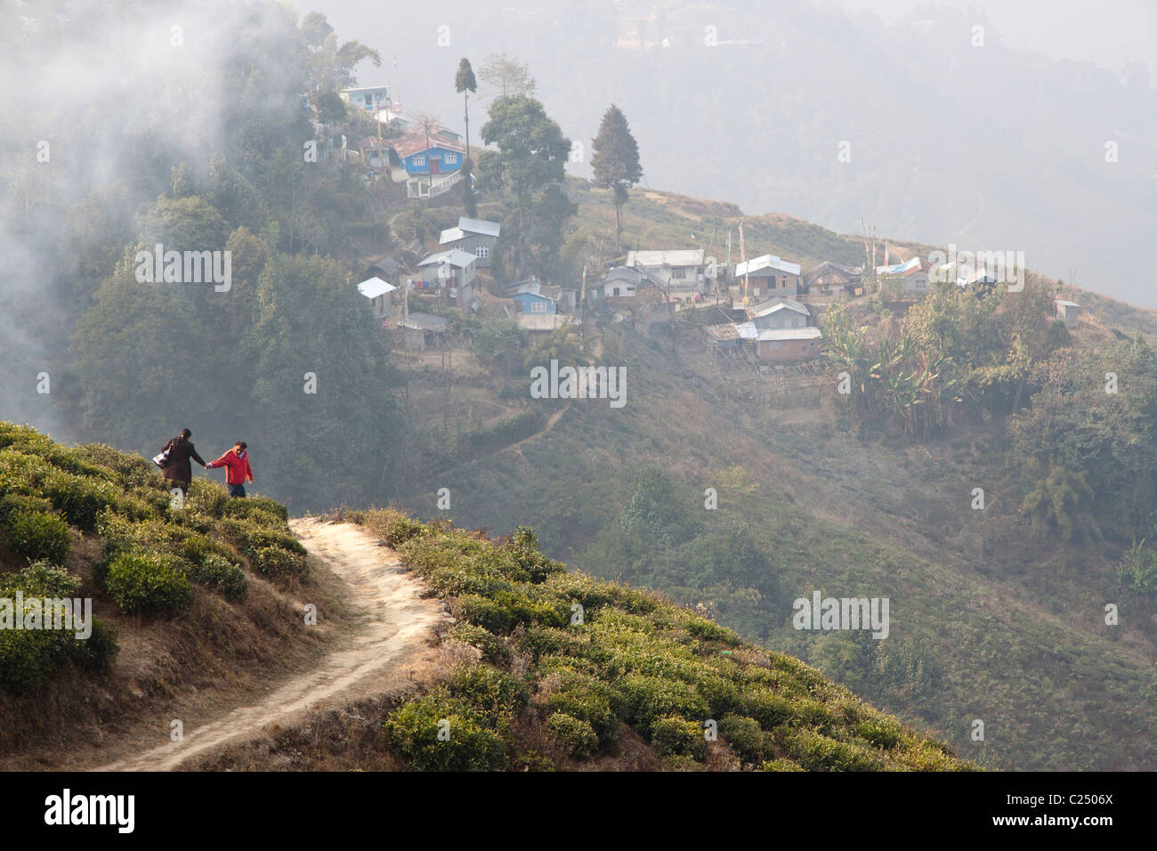Tourists at a tea plantation in Darjeeling, West Bengal, India Stock