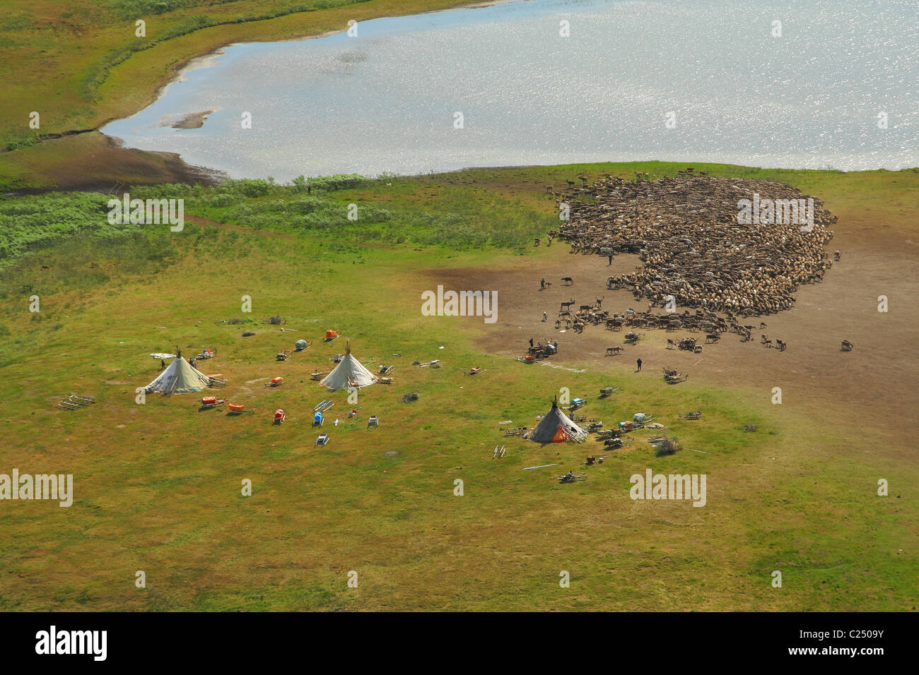 Camp of nenets herders in the tundra with a bird's-eye view. Nenets Autonomous Okrug, Arkhangelsk Oblast, Russia Stock Photo