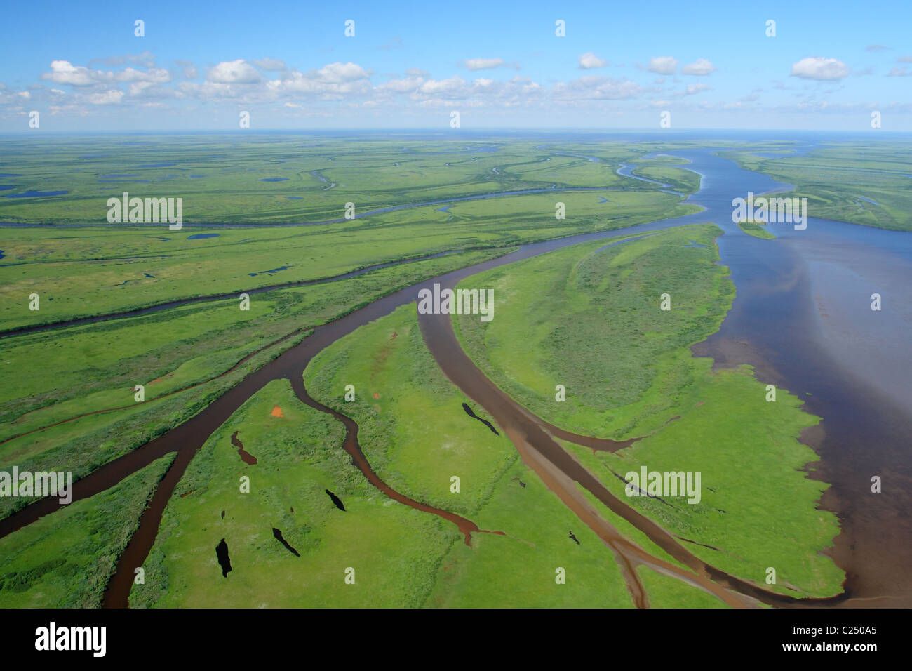 Bayous flowing into the Barents sea. Nenets Autonomous Okrug, Arkhangelsk Oblast, Russia, an aerial view in the summer. Stock Photo