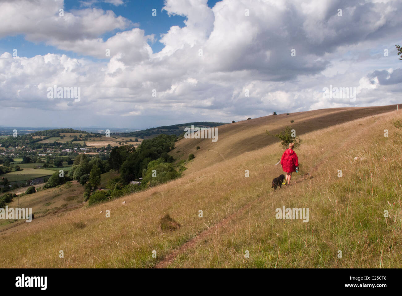 A woman and her dog walking on the Cotswold Way long distance footpath on Selsley Common near Stroud, Gloucestershire, Cotswolds, UK Stock Photo