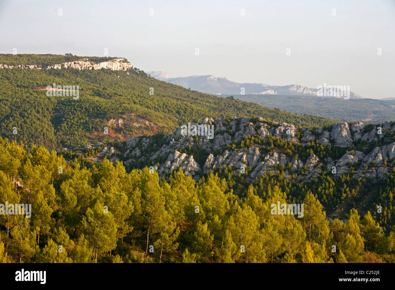 Forest near the Barrage de Bimont with a view over the Sainte Baume massif, Aix en Provence, Provence, France. Stock Photo