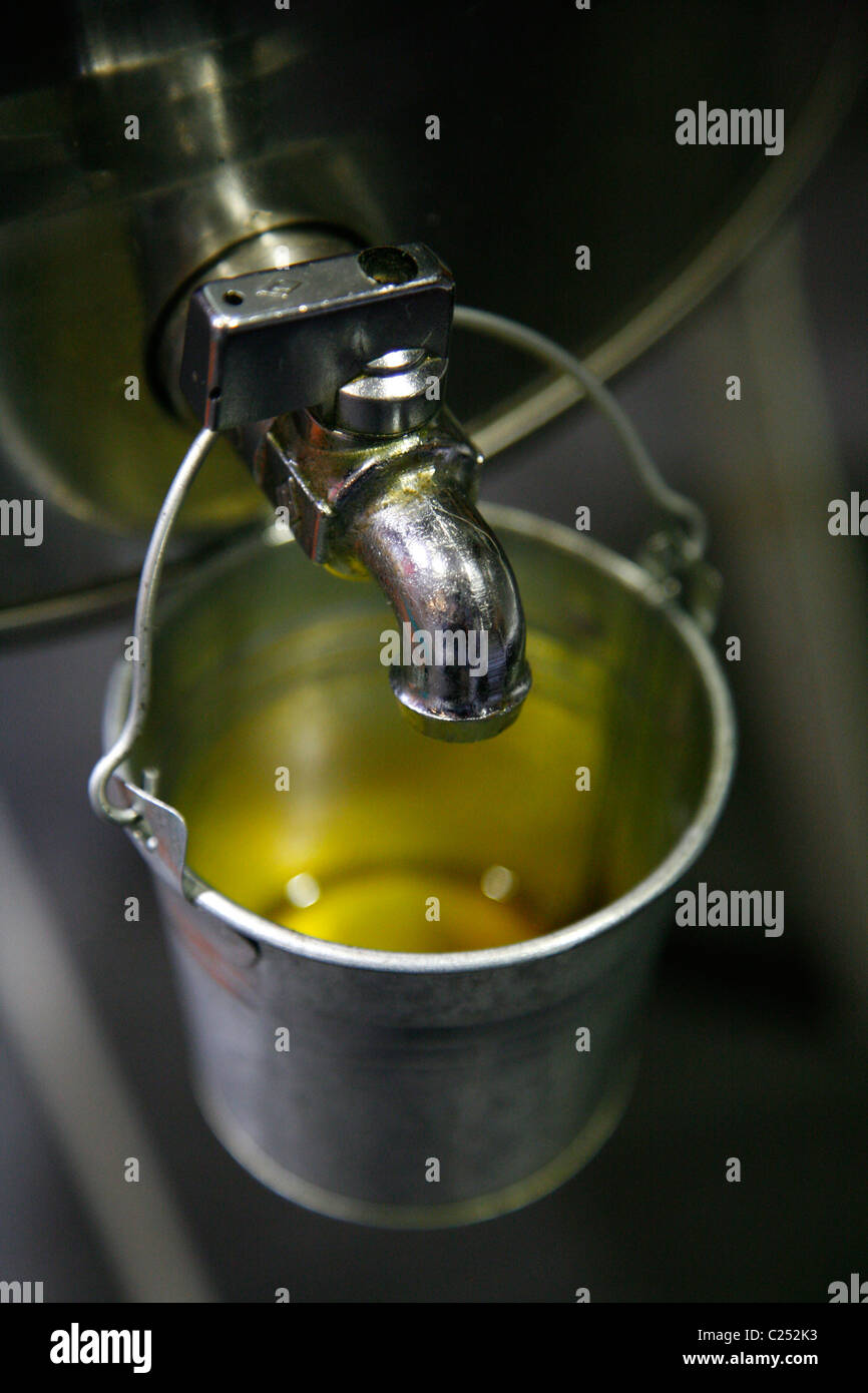 Olive oil from Moulin de l'Olivette, Manosque, Provence, France. Stock Photo
