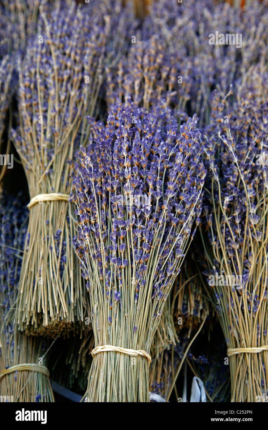 Dried Lavender, Provence, France Stock Photo Alamy